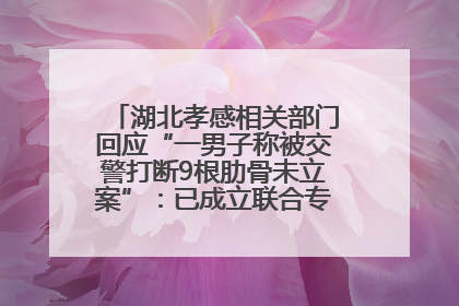 湖北孝感相关部门回应“一男子称被交警打断9根肋骨未立案”：已成立联合专班开展工作