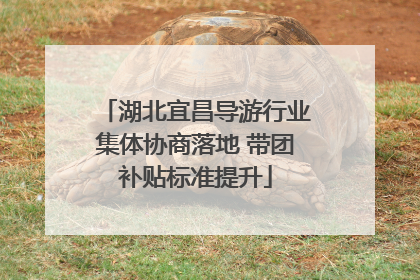 湖北宜昌导游行业集体协商落地 带团补贴标准提升