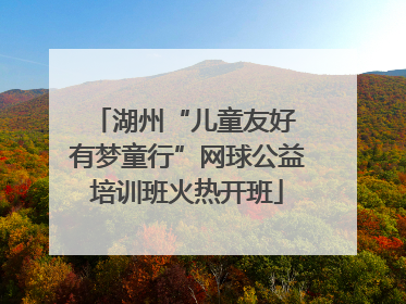 湖州“儿童友好 有梦童行”网球公益培训班火热开班