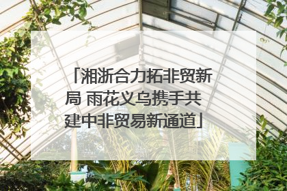 湘浙合力拓非贸新局 雨花义乌携手共建中非贸易新通道