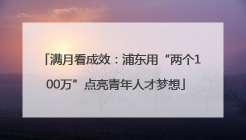 满月看成效：浦东用“两个100万”点亮青年人才梦想