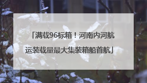 满载96标箱！河南内河航运装载量最大集装箱船首航