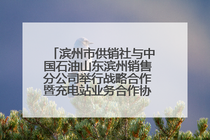 滨州市供销社与中国石油山东滨州销售分公司举行战略合作暨充电站业务合作协议签约仪式