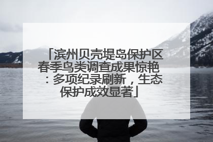 滨州贝壳堤岛保护区春季鸟类调查成果惊艳：多项纪录刷新，生态保护成效显著