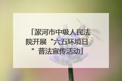 漯河市中级人民法院开展“六五环境日”普法宣传活动