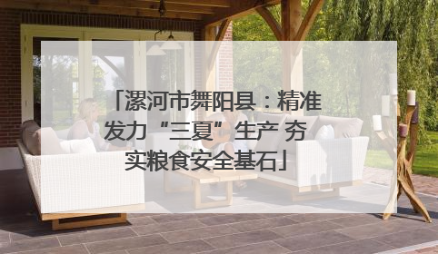 漯河市舞阳县：精准发力“三夏”生产 夯实粮食安全基石