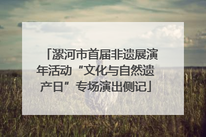 漯河市首届非遗展演年活动“文化与自然遗产日”专场演出侧记