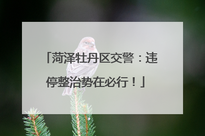 菏泽牡丹区交警：违停整治势在必行！