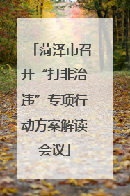 菏泽市召开“打非治违”专项行动方案解读会议
