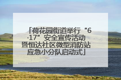 荷花园街道举行“6·17”安全宣传活动暨恒达社区微型消防站应急小分队启动式