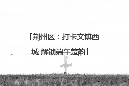 荆州区：打卡文博西城 解锁端午楚韵