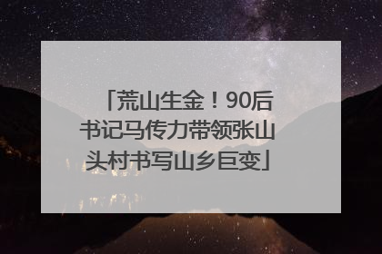 荒山生金！90后书记马传力带领张山头村书写山乡巨变
