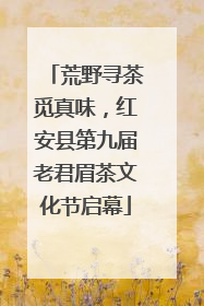 荒野寻茶觅真味，红安县第九届老君眉茶文化节启幕