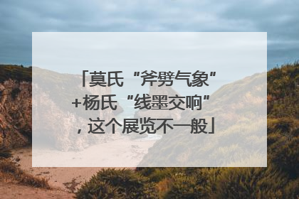 莫氏“斧劈气象”+杨氏“线墨交响”，这个展览不一般