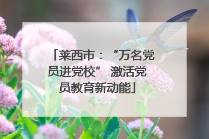 莱西市：“万名党员进党校” 激活党员教育新动能