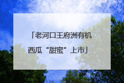 老河口王府洲有机西瓜“甜蜜”上市