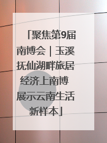 聚焦第9届南博会｜玉溪抚仙湖畔旅居经济上南博 展示云南生活新样本