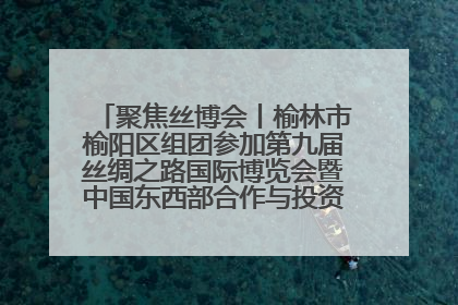 聚焦丝博会丨榆林市榆阳区组团参加第九届丝绸之路国际博览会暨中国东西部合作与投资贸易洽谈会