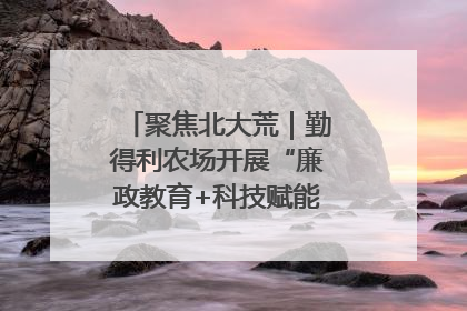 聚焦北大荒｜勤得利农场开展“廉政教育+科技赋能”主题党日活动