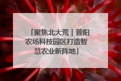 聚焦北大荒｜普阳农场科技园区打造智慧农业新阵地