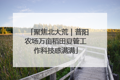 聚焦北大荒｜普阳农场万亩稻田夏管工作科技感满满
