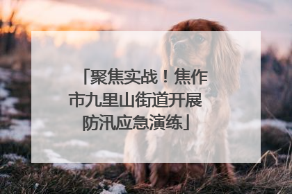 聚焦实战！焦作市九里山街道开展防汛应急演练