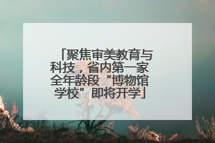 聚焦审美教育与科技，省内第一家全年龄段“博物馆学校”即将开学