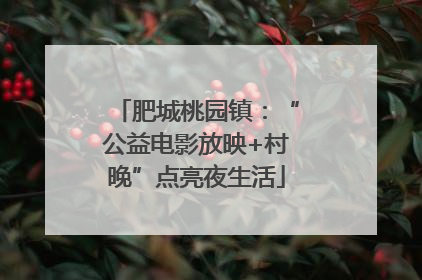 肥城桃园镇：“公益电影放映+村晚”点亮夜生活