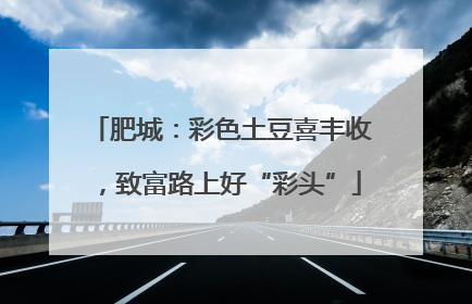 肥城：彩色土豆喜丰收，致富路上好“彩头”