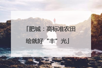 肥城：高标准农田绘就好“丰”光