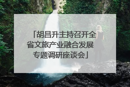 胡昌升主持召开全省文旅产业融合发展专题调研座谈会