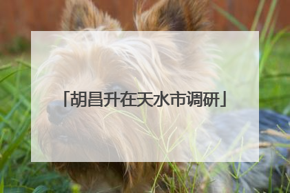 胡昌升在天水市调研