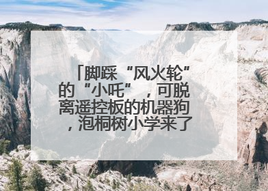 脚踩“风火轮”的“小吒”，可脱离遥控板的机器狗，泡桐树小学来了新朋友！