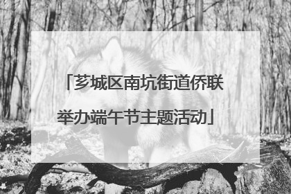 芗城区南坑街道侨联举办端午节主题活动