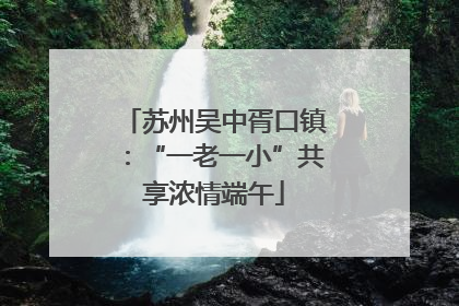 苏州吴中胥口镇：“一老一小”共享浓情端午