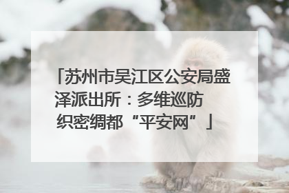 苏州市吴江区公安局盛泽派出所：多维巡防  织密绸都“平安网”