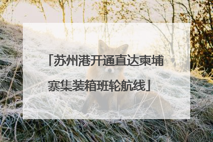 苏州港开通直达柬埔寨集装箱班轮航线