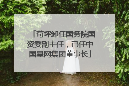 苟坪卸任国务院国资委副主任，已任中国星网集团董事长