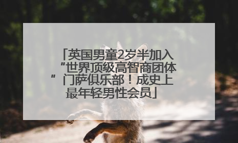 英国男童2岁半加入“世界顶级高智商团体”门萨俱乐部！成史上最年轻男性会员