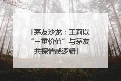 茅友沙龙：王莉以“三重价值”与茅友共探情感逻辑