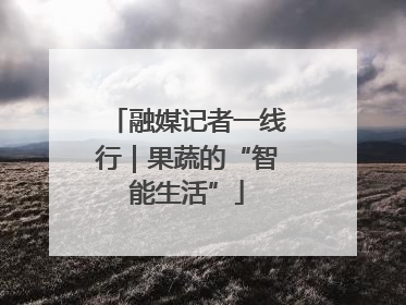 融媒记者一线行｜果蔬的“智能生活”