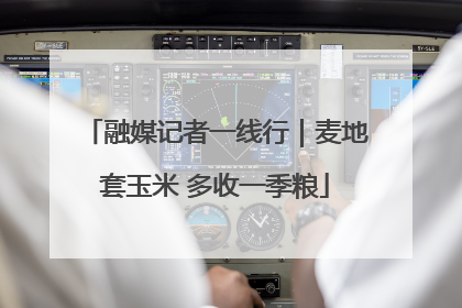 融媒记者一线行｜麦地套玉米 多收一季粮
