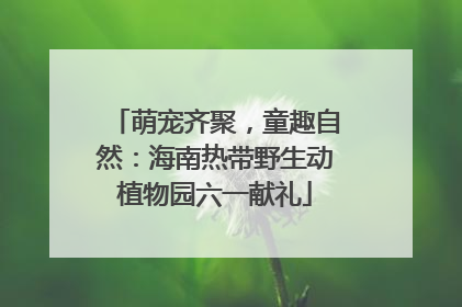 萌宠齐聚，童趣自然：海南热带野生动植物园六一献礼