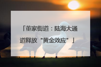 董家街道：陆海大通道释放“黄金效应”