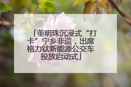 董明珠沉浸式“打卡”宁乡非遗，出席格力钛新能源公交车投放启动式