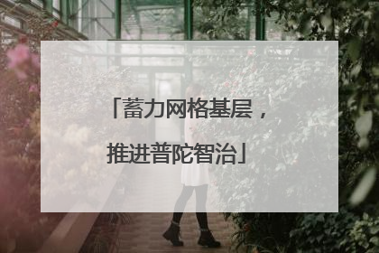 蓄力网格基层，推进普陀智治