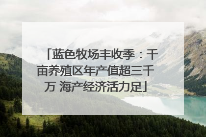 蓝色牧场丰收季：千亩养殖区年产值超三千万 海产经济活力足
