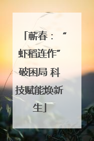 蕲春：“虾稻连作”破困局 科技赋能焕新生