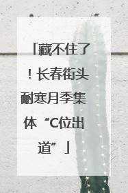 藏不住了！长春街头耐寒月季集体“C位出道”