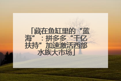 藏在鱼缸里的“蓝海”：拼多多“千亿扶持”加速激活西部水族大市场